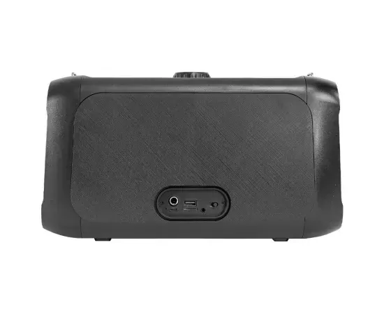 Boxa portabilă IBIZA SOUND Party Street Black – Putere 100W, Bluetooth, USB, microSD, RGB - Imagine 4