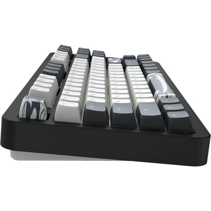 Dark Project Tastatura DARK PROJECT Bushido TKL, RGB, Mecanica, Negru/Alb - IT-Fashion.ro