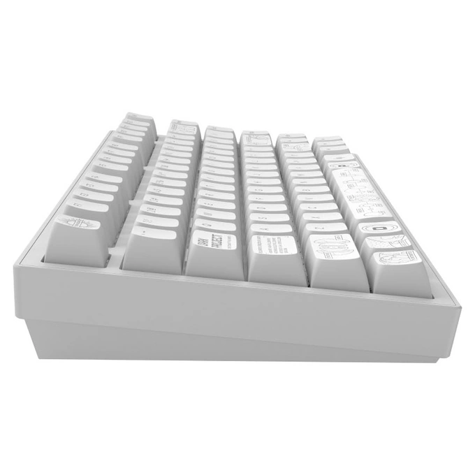 Tastatura DARK PROJECT Terra Nova, RGB, Mecanica, Alb - Imagine 5