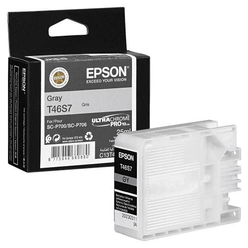 Cartuș de cerneală EPSON C13T46S700 UltraChrome PRO10, Gray - Imagine 1