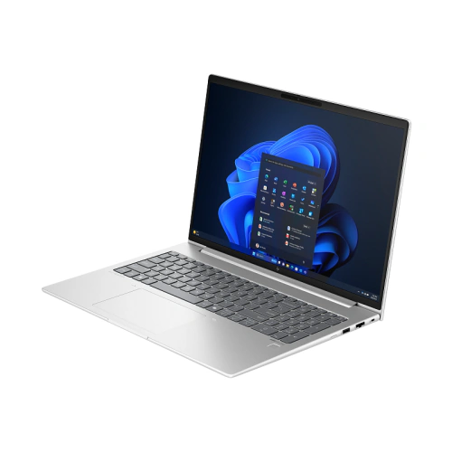 HP Laptop HP EliteBook 665 G11 9C0H6EA, AMD Ryzen 5 7535U, 16 inch, RAM 16GB, SSD 512GB, AMD Radeon 660M, 4G LTE, Windows 11 Pro, Pike silver aluminum + HP Wolf Pro Security Edition - IT-Fashion.ro