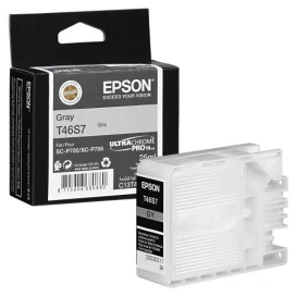 EPSON Cartuș de cerneală EPSON C13T46S700 UltraChrome PRO10, Gray - IT-Fashion.ro