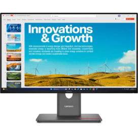 Lenovo Monitor LED LENOVO ThinkVision P24QD-40 64B1GAT1EU, 23.8" QHD, 120 Hz, 4 ms, Black - IT-Fashion.ro
