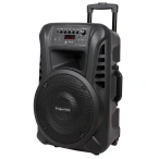 KRUGER & MATZ Boxa portabila activa 40W, 2 microfoane Wireless, Bluetooth, SD, AUX - IT-Fashion.ro