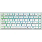 Dark Project Tastatura DARK PROJECT Terra Nova, RGB, Mecanica, Alb - IT-Fashion.ro